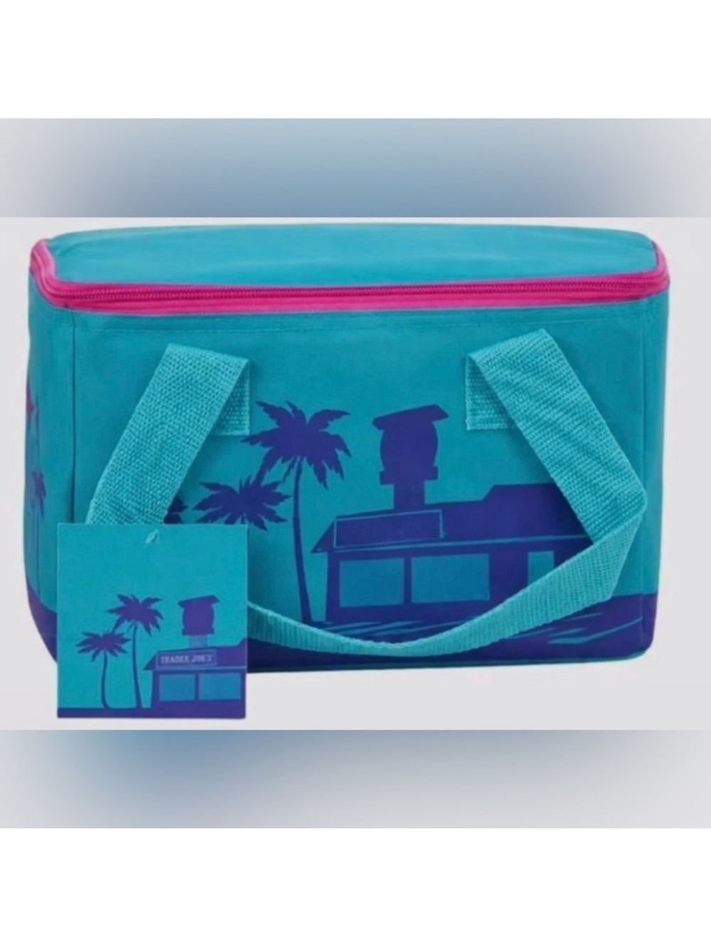 Trader Joe’s teal & Hot Pink Insulated Bag with Palm Print